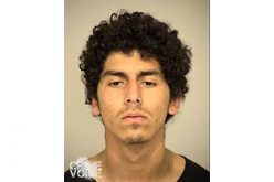 “Hot Prowl” Burglars Arrested