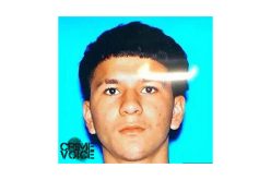 Suspect Shooter in Murder/Robbery Arrested