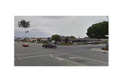 Pedestrian Sting Nets 77 Citations