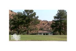 Couple Charged in Gang Shooting Death