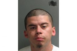 Carjacker Quickly Arrested