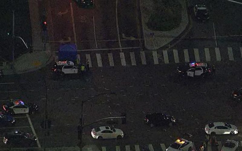 $50,000 Reward Offered for Fatal Pedestrian Hit-and-Run