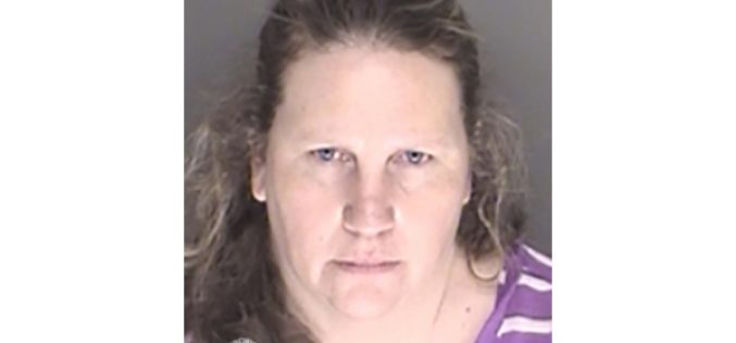 Government Accountant Busted for Embezzlement