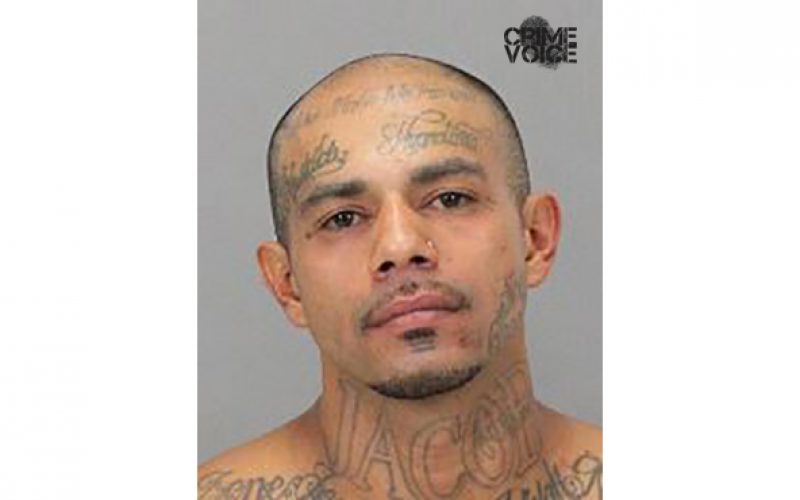 SJPD officer-involved shooting ends ten day pursuit of wanted felon