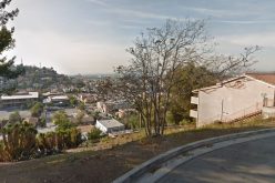 Dog Thrown off Cliff Twice, Survives