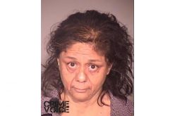 Surveillance Video Nabs Female Burglar