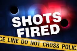 Shots Fired from Bishop Area Home