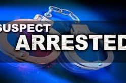 Elusive Commercial Burglary Spree-and-Pursuit Suspect Apprehended