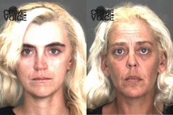 Love and Doll Fraudulently Ask for Donations