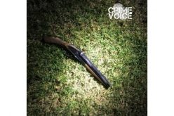 Traffic Stop Leads to Concealed Weapon Arrest