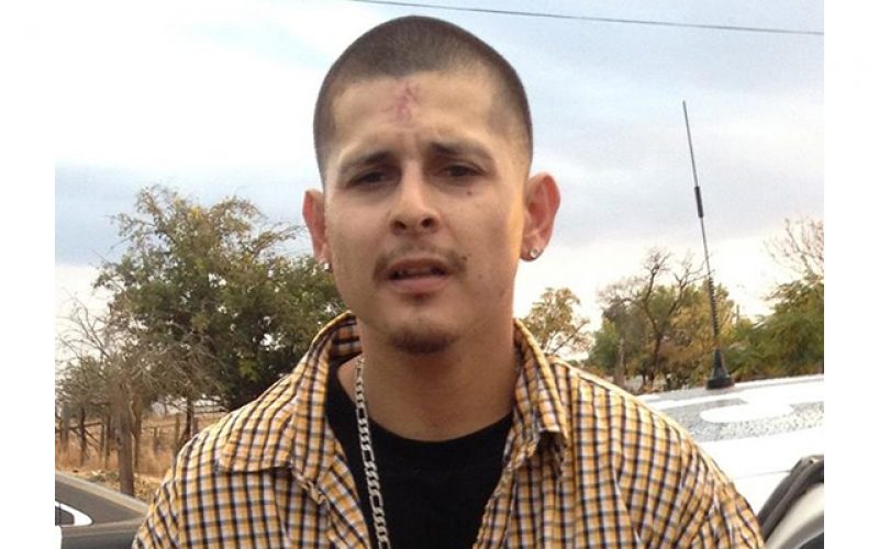 Traffic stop leads to discovery of drugs, gun