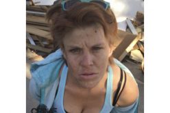 Chainsaw Thieves Caught