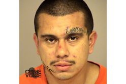 Suspect Cuffed After Injuring Cops