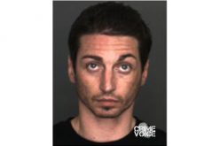 Porch Pirate/Car Thief Arrested, Additional Victims Sought