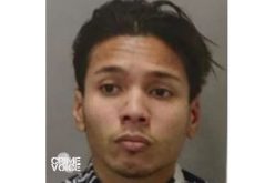 Serial arsonist responsible for 14 fires Arrested