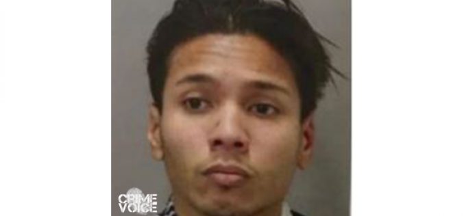 Serial arsonist responsible for 14 fires Arrested