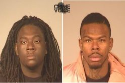 Gang Suppression Operation Underway