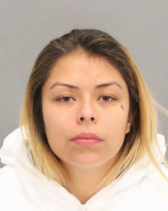 home-invasion-suspect