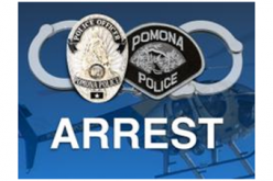 Police Poseurs Targeting Undocumented Immigrants Arrested; Victims and Witnesses Sought