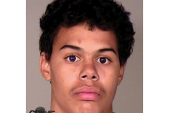 Twin Burglars Busted