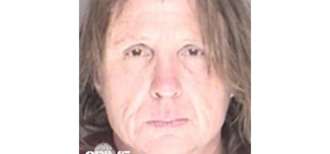 Felony Bust Follows Long Car Chase