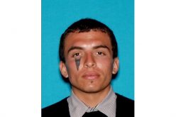 Have You Seen “Blaze”?