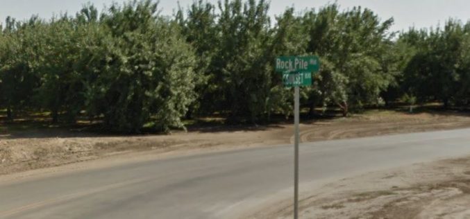 Car Thief Tries to Hide in Tree, K-9 Assists in his Surrender