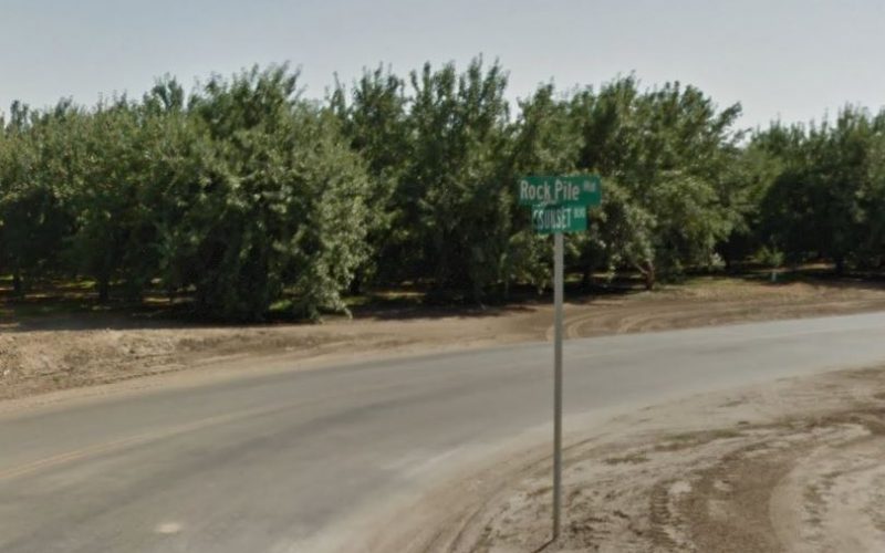 Car Thief Tries to Hide in Tree, K-9 Assists in his Surrender