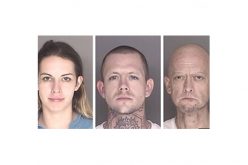 Fencing Stolen Surfboards Leads to Triple Bust