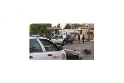 Not Guilty Plea in Christmas Day Murder of Wife