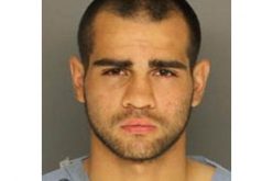 Wrong Way Driver Flees, Assaults Sheriff’s K-9