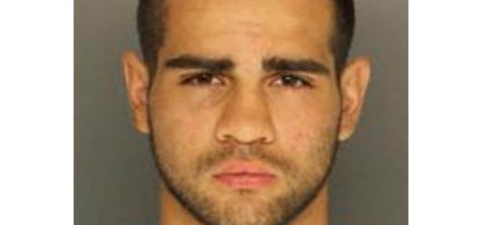 Wrong Way Driver Flees, Assaults Sheriff’s K-9