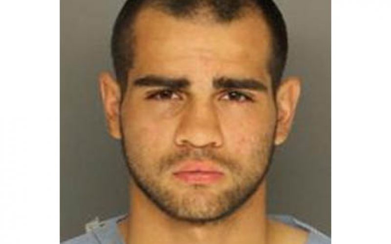 Wrong Way Driver Flees, Assaults Sheriff’s K-9