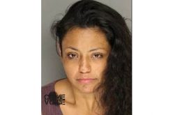 Alert Citizen Tips Cops to Car Thieves