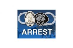 Furnishing Alcohol to Minors: A Patrol Division Detail at Multiple Locations Cites 11