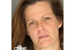 Mail Thief Caught by Video Surveillance and Alert Residents