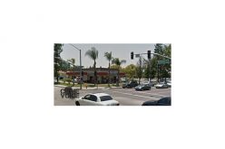 Pursued Vehicle Collides with Sheriffs Department’s Tree