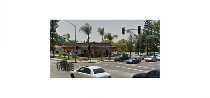 Pursued Vehicle Collides with Sheriffs Department’s Tree