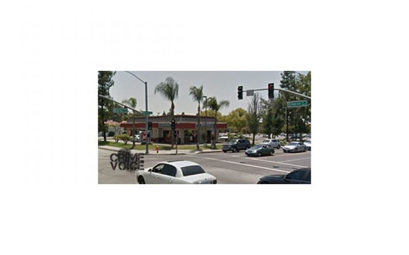 Pursued Vehicle Collides with Sheriffs Department’s Tree