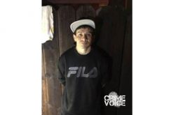 Man on Probation Arrested for Animal Cruelty