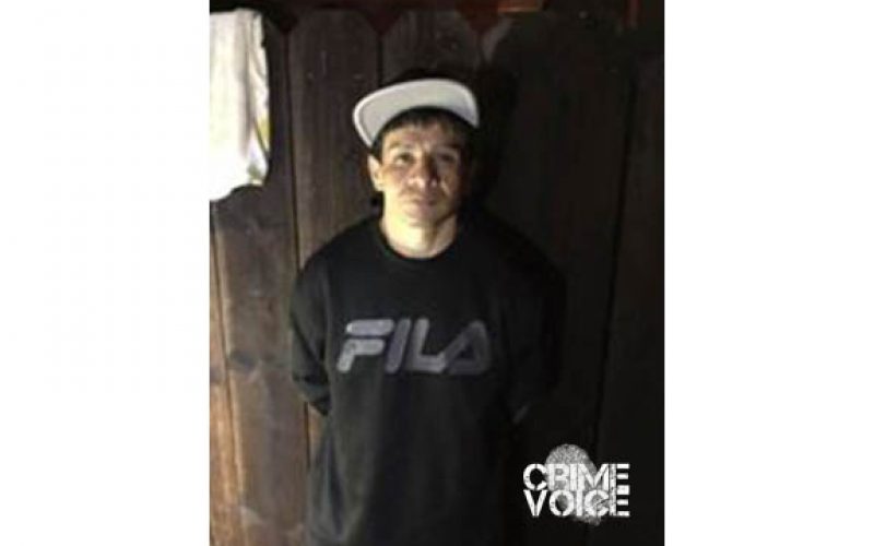 Man on Probation Arrested for Animal Cruelty