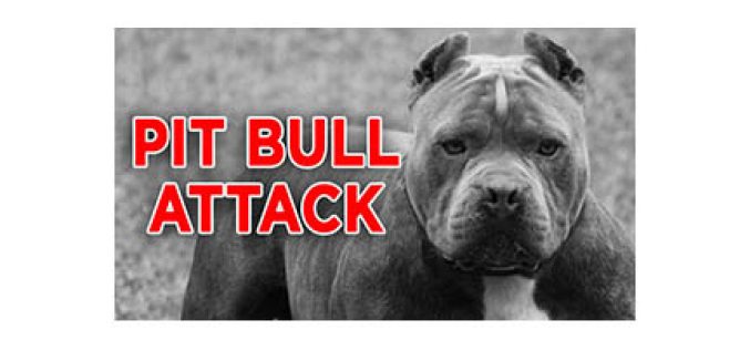 3-Year-Old Mauled by Family’s Pit Bull