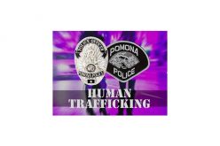 Vice Operation Nets Six On The Blade