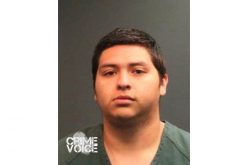 Community Tips Lead to Arrest of Assaulting Robber