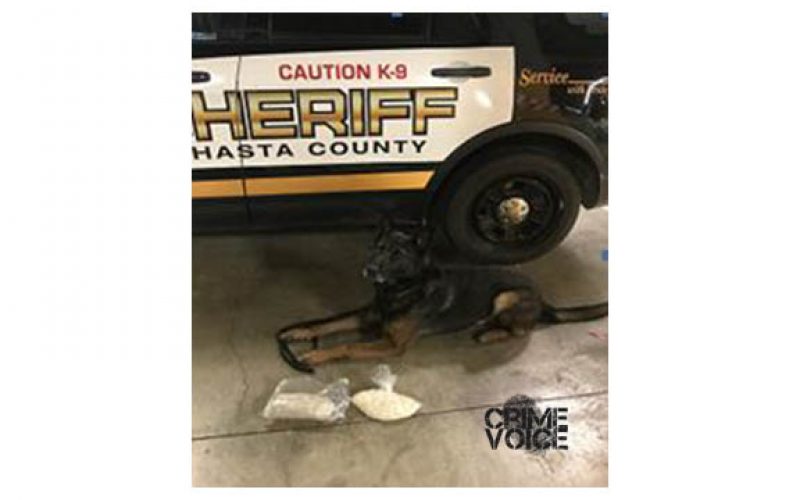 Thor’s ‘Free Air Sniff’ Discovers Meth