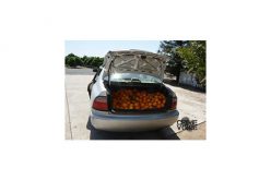 Man with Trunk Full of Stolen Goods Drives by Deputies Searching For Him