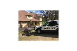 Two Grow Houses Discovered, 1000+ Plants Destroyed