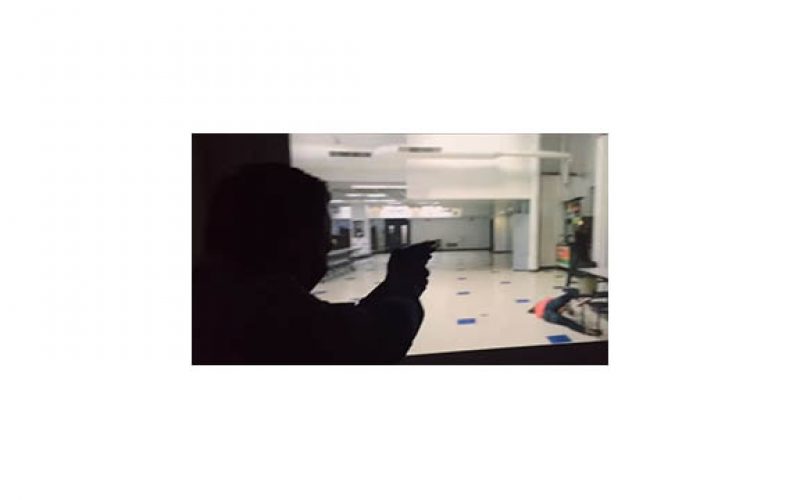 Force Option Simulator Training for Legislators