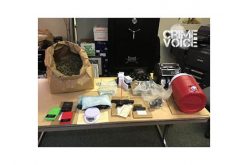 Placerville Pair Pinched for Drugs