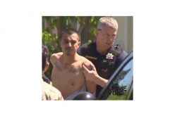 Wild Day of Stabbing, Attempted Robberies and Stand-Off